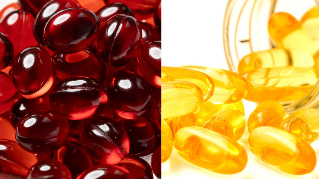 Fish Oil or Krill Oil