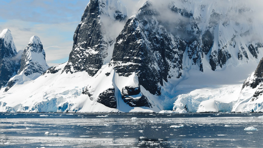 How Antarctic Krill Oil is Extracted
