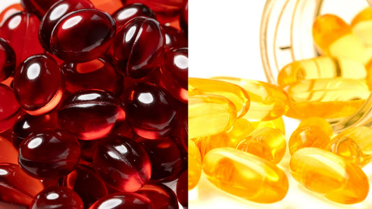 Fish Oil or Krill Oil